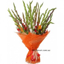 Bouquet of gladiolus 21 pcs.